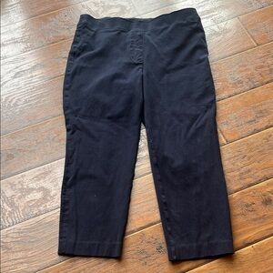 Spanx Navy Cropped Pants - Size Large